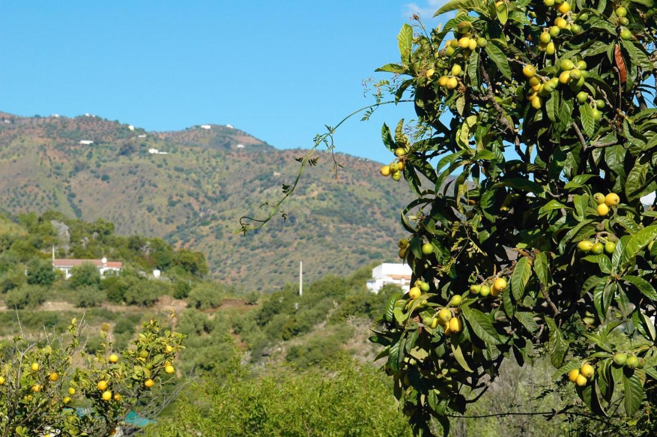 Jingtu Wellness & Spa B&B Comares Exterior photo
